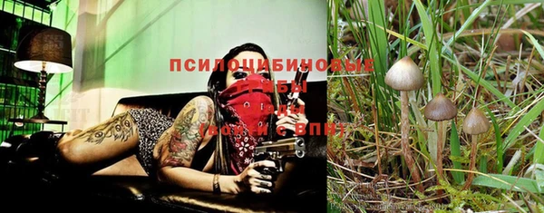 дживик Магадан