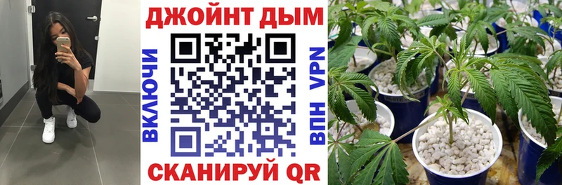 МАРИХУАНА сатива  Купить  Лобня 
